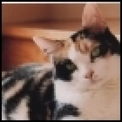 Jane99 - Dans quelle ville, Jeanne d'Arc fut-elle brûlée vive en 1431 ?