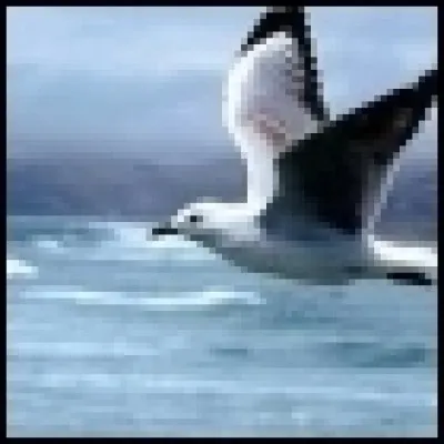 Mia - Qui a interprété "Je danse la Mia" en 1993 ?