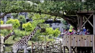 Combien y a-t-il eu de visiteurs en 2015 ?