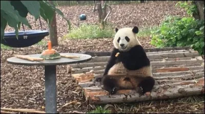 Comment s'appelle-t-il ?