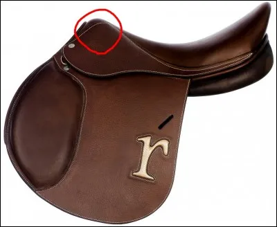 Comment s'appelle cette partie de la selle ?