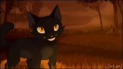 Qui est son apprenti(e) ?