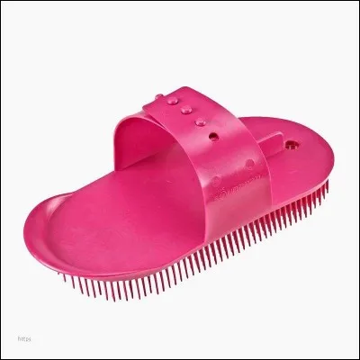 Comment s'appelle cette brosse ?