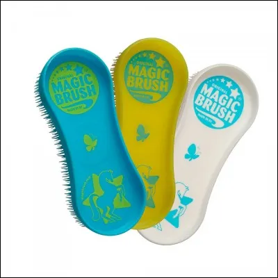 Comment s'appelle ce modèle de Magic Brush ?