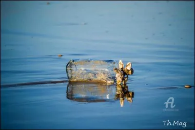 Qui chante ''Comme un fou va jeter à la mer / Des bouteilles vides et puis espère / Qu'on pourra lire à travers / SOS écrit avec de l'air / Pour te dire que je me sens seul'' ?