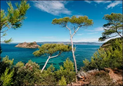 Qui chante ''J'ai quelque part dans le cur /De la mélancolie / L'envie de remettre à l'heure / Les horloges de ma vie / Un sentier dans la montagne / Quand j'aurai besoin d'eau / Un jardin dans la campagne'' ?