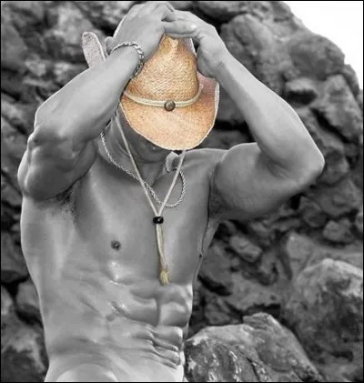 Qui chantait "Tomber la chemise" ?