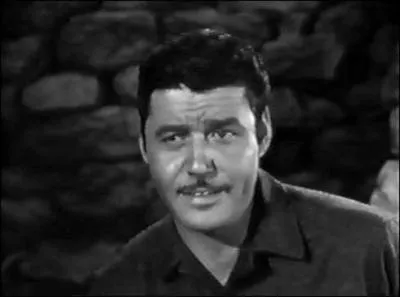 Un renard en espagnol ...