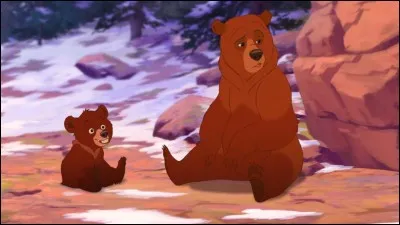 Dans Frères des ours (2003), comment s'appelle l'ourson bavard que rencontre Kenaï ?