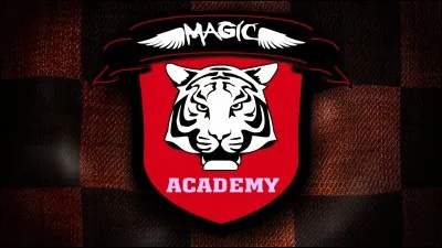 Combien y a-t-il eu de professeurs dans la Boyard Académy ?