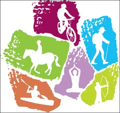 Pratiquez-vous l'une de ces activit&eacute;s ?