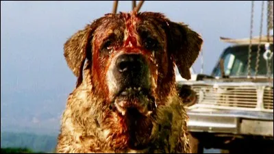 Cujo est un roman d'Agatha Cristie.