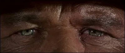 Qui tient le rôle féminin principal ?