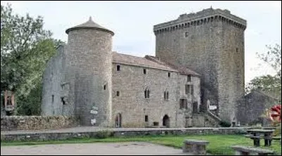 Viala-du-Pas-de-Jaux est un village de l'ancienne région Midi-Pyrénées situé dans le département ...