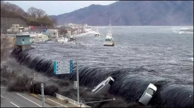 Quel nom de phénomène naturel est tiré du japonais signifiant "vague de port" ?