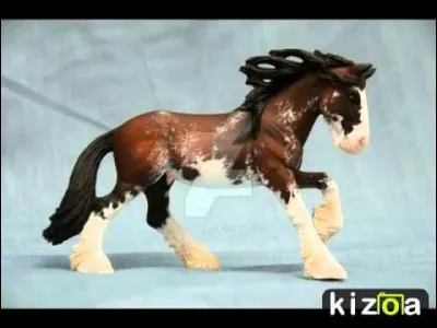 De quelle race est-il ?