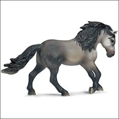 De quelle race est-il ?