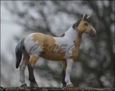 De quelle race est-il ?