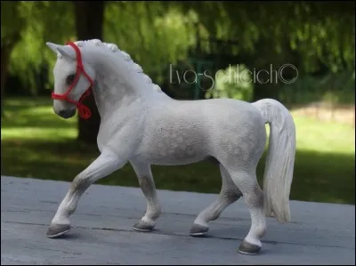 De quelle race est-il ?