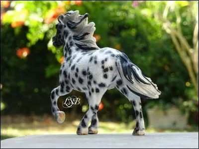 De quelle race est-il ?