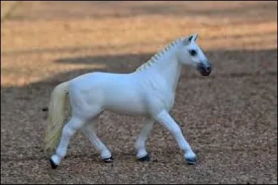 De quelle race est-il ?