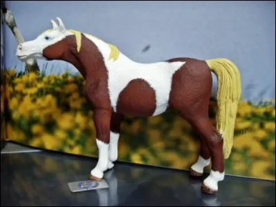 De quelle race est-il ?