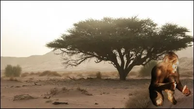 Quelle espèce n'a jamais cohabité avec l'Homo sapiens ?