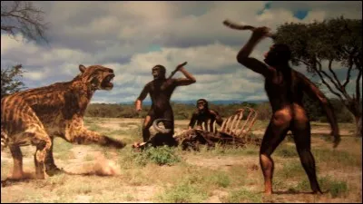 De quelle espèce d'australopithèque était Lucy ?