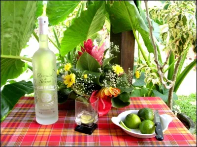 Quel ingr&eacute;dient n'entre pas dans la composition de la boisson "tipunch" ?