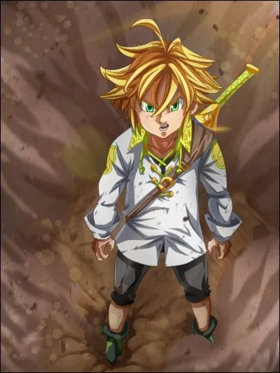 Combien de coeurs a Meliodas ?