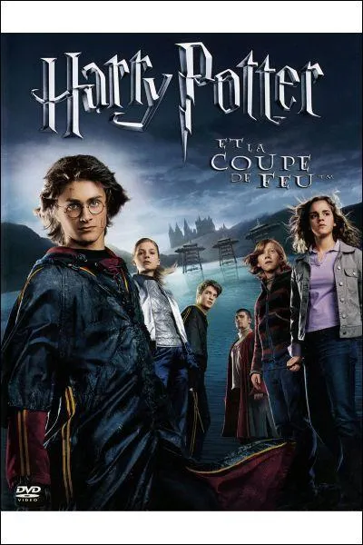 'Harry Potter et la coupe de feu (IV)' : dans la 1re tche du Tournoi des 3 sorciers, qu'est-ce que Harry doit rcuprer auprs d'un dragon ?