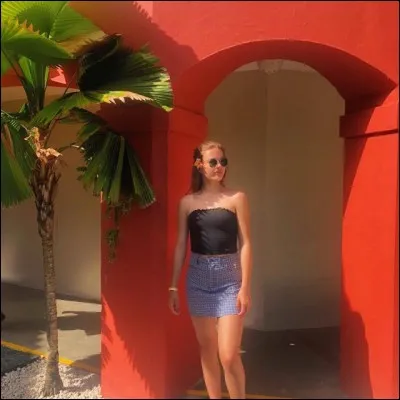 Quel est le pays que Zoé rêverait visiter ?