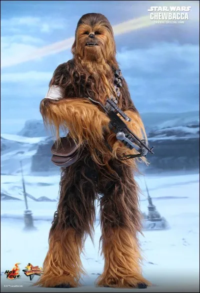 Comment se nomme l'acteur incarnant Chewbacca ?