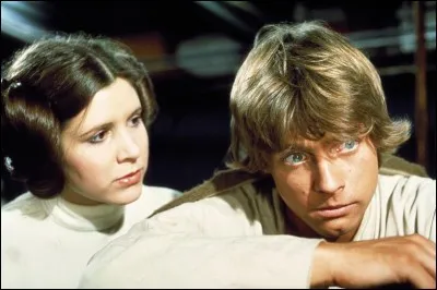 Luke Skywalker et Leia Organa sont (plusieurs réponses possibles) :
