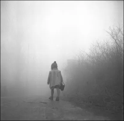 Si le brouillard est très épais et la visibilité nulle, et que je vous dis qu'il y a un peu de brume, quelle figure de style est employée ?