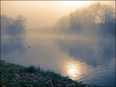 Et enfin comment dois-je traduire, que pour jouer ce quiz vous étiez un peu dans le brouillard ! ?