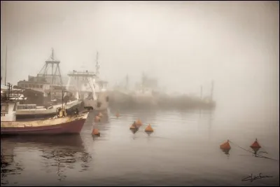 Qui a écrit le roman policier "Brouillard au port de Tolbiac" ?