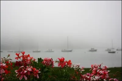 Où les "brumes de chaleur" sont-elles fréquentes ?