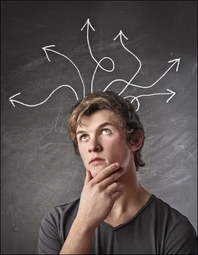 Où peut-on voir des 'zébras' ?