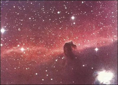 Dans quelle constellation est située la nébuleuse " tête de cheval" ?