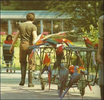 En quelle année a été fondé le Zoo de Vincennes ?