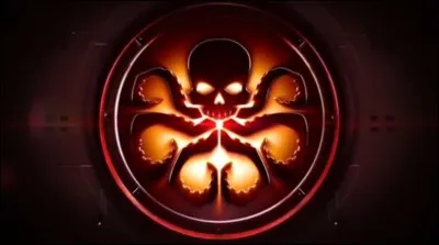 [Captain America 1 & 2]

Qui sont les deux gouverneurs d'Hydra ?