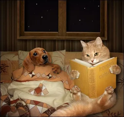 Et enfin dans ce dernier livre on rencontre Kiki...