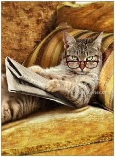 Et enfin vous souvenez-vous de quelle race était Kiki la.... ?