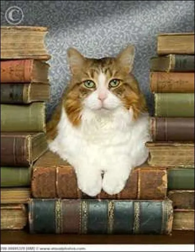 Elle a également écrit "Le pur et...