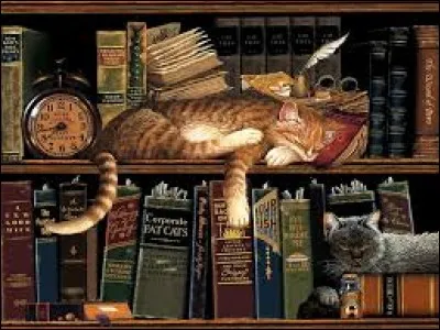 Celui-ci se nomme : L'ingénue...