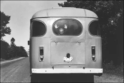 Vers où roule ce bus prit en 1995 au moment où se passe le combat entre les indépendantistes Tchétchènes et les troupes Russes ?