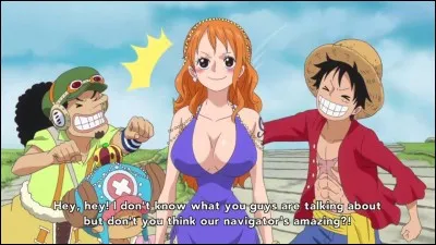 Qui est la navigatrice des chapeaux de paille ?