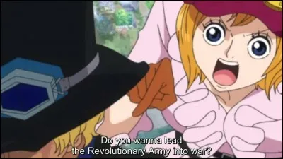 Sabo et Koala sont-ils des membres de la rébellion ?