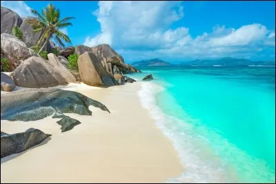 Nous avons hésité à t'offrir un voyage aux Seychelles ! Mais tu nous aurais quittés trop longtemps, c'était trop loin ! Dans quel océan déjà ?